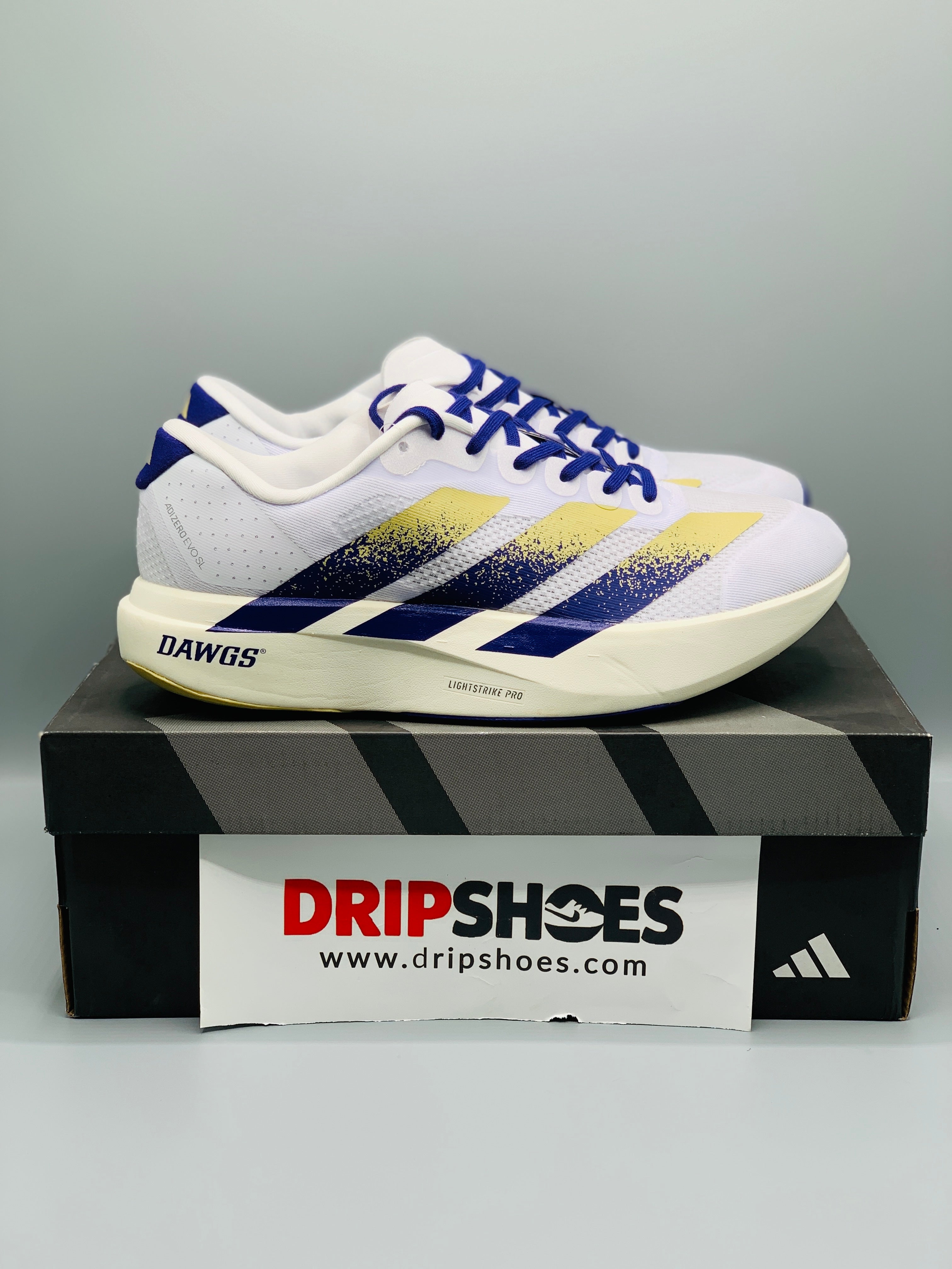 Adidas Adizero Evo SL "Washington"